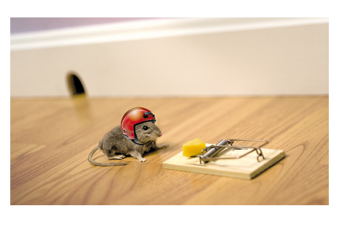 Mouse helmet 2025